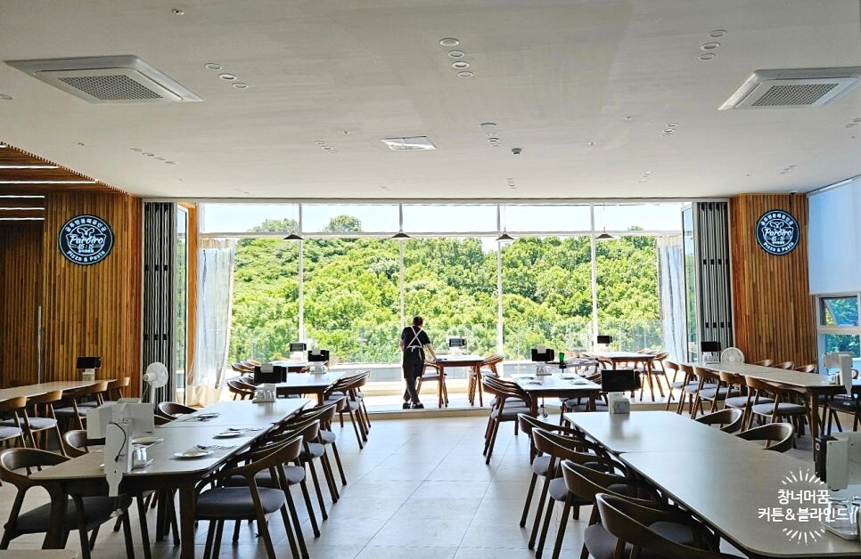 하남 미사 8515 파로이로피자 레스토랑 통창에 화이트 롤스크린을 반쯤 내린 모습, 창 아래로 초록 나무가 보이고 원목 테이블과 의자가 늘어선 매장